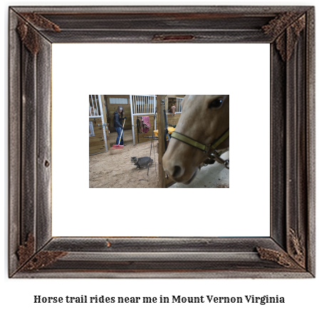 horse trail rides near me in Mount Vernon, Virginia